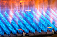 Georgetown gas fired boilers